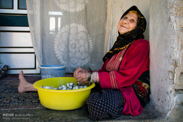 Silk farming and weaving in Iran’s Golestan province