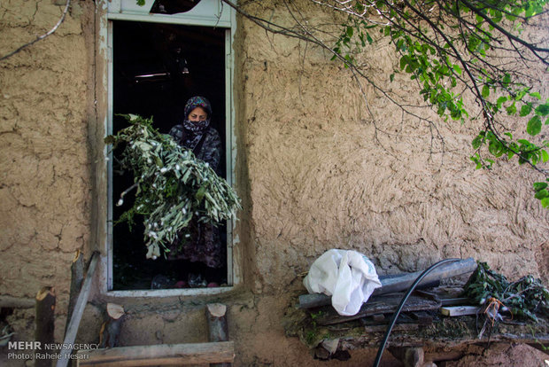 Silk farming and weaving in Iran’s Golestan province