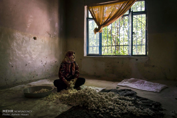 Silk farming and weaving in Iran’s Golestan province