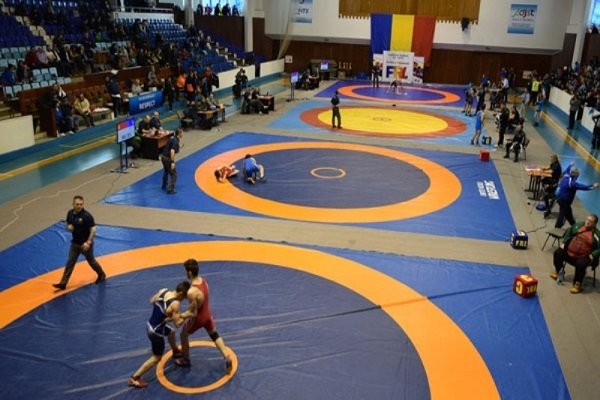13 Iranian free-style wrestlers await medals in Romania competition