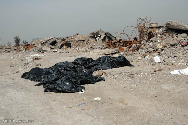 جمع آوری جنازه ها از شهر موصل