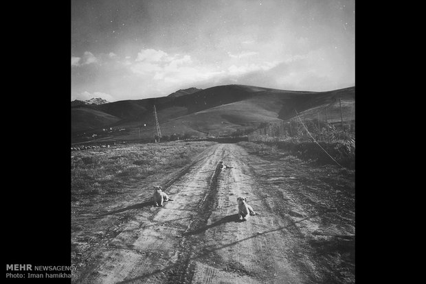 A view of daily life in Iran – 75