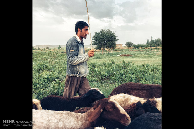 A view of daily life in Iran – 75