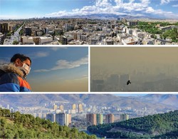 World Bank clarifies air pollution in Tehran: Health costs, sources, policies