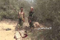 اليمن.. قتلى وجرحى بأعداد كبيرة من الغزاة والمرتزقة في الساحل الغربي