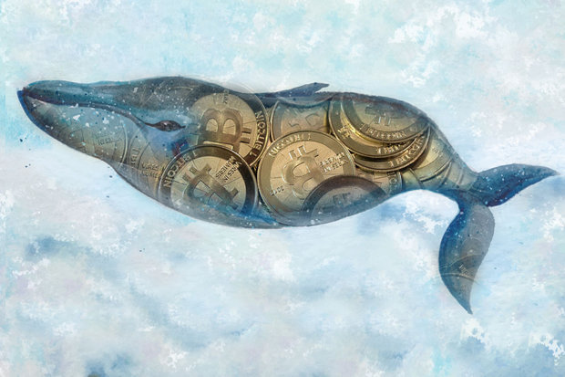 بازگشت وال‌های بیت‌کوین