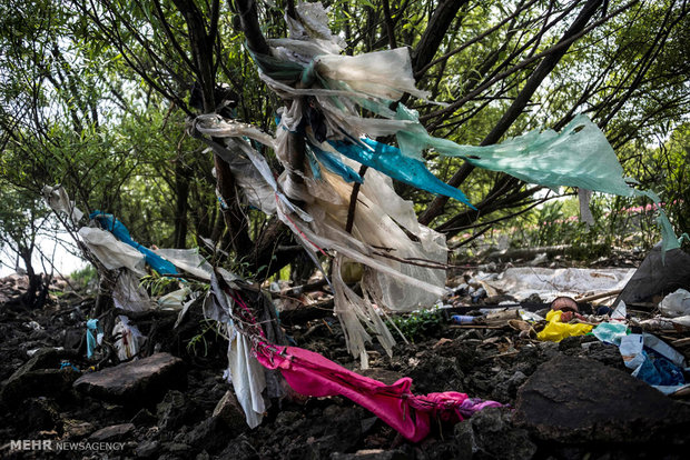 تاثیرات زباله های پلاستیکی بر حیات وحش‎