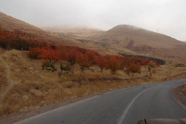 اصلاح و توسعه جاده روستای کرگان یک خواسته جدی مردمی است