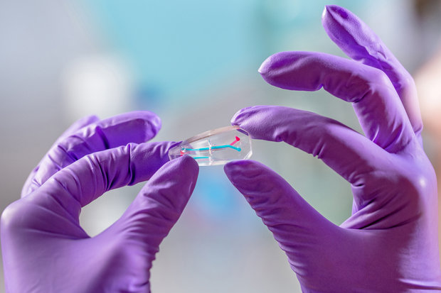 Iran to establish center for medical technology development