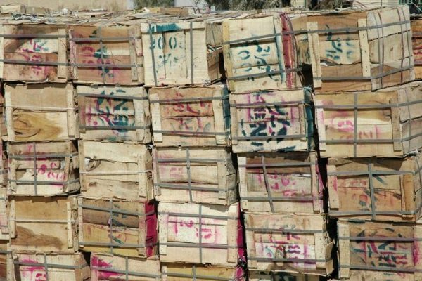 بیش از ۱۰ تن انبه قاچاق در مرز «جکیگور» کشف شد