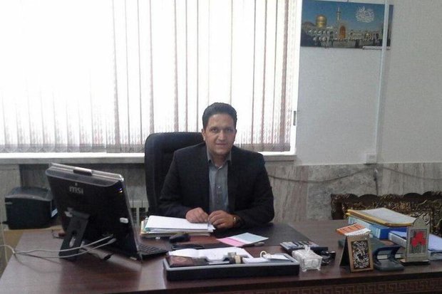 ۳۲۵۰ تن پیاز و سیبزمینی از مزارع دامغان برداشت شد