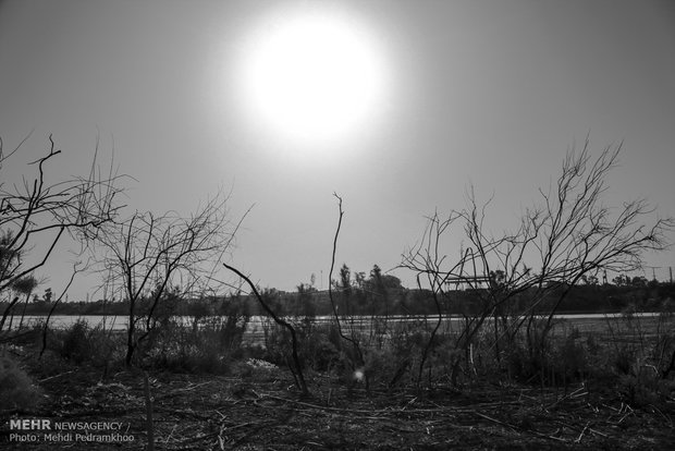 Karun river paralyzed by drought, overuse