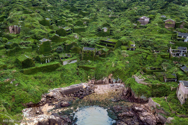 روستایی در محاصره گیاهان خودرو