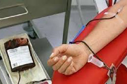 ۵ هزار واحد خونی به نیازمندان خراسان جنوبی اهدا شد