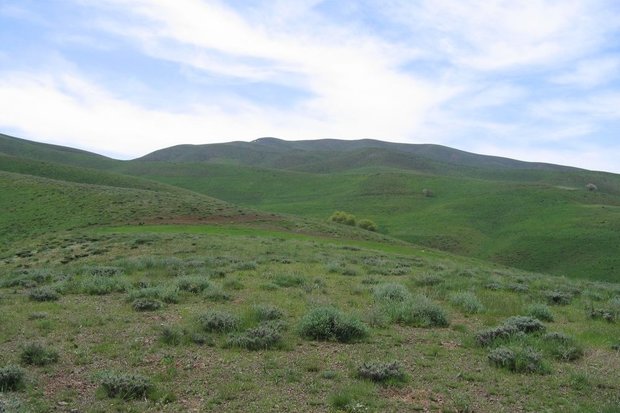 اجرای طرح قرق مراتع در ۱۷۲۰ هکتار اراضی کردستان
