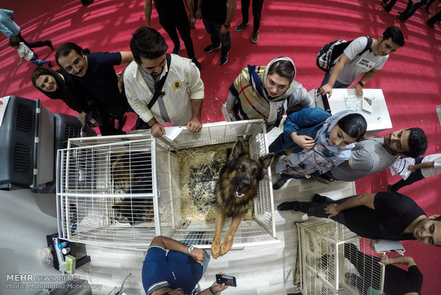 Tehran Horse and Pet Show 2018