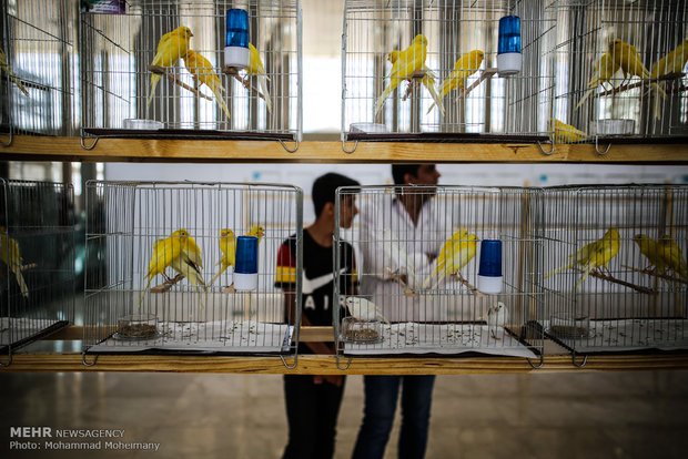 Tehran Horse and Pet Show 2018