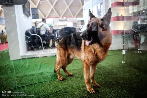 Tehran Horse and Pet Show 2018