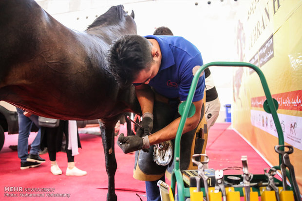 Tehran Horse and Pet Show 2018