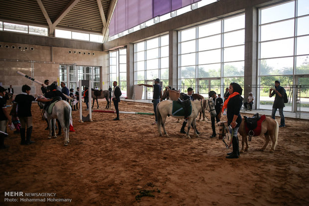 نمایشگاه بین المللی اسب.سگ و حیوانات همزیست