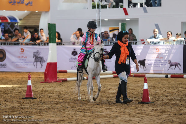 Tehran Horse and Pet Show 2018