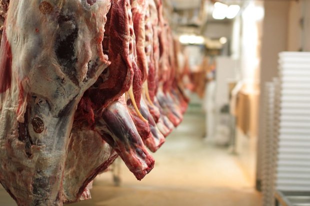 ورود اولین محموله گوشت تازه گوسفندی وارداتی به شهرستان بروجرد