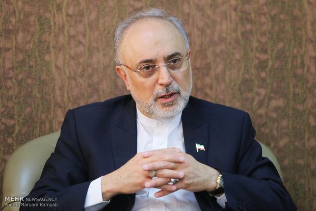 Iranian nuclear chief departs for Vienna to attend IAEA conference
