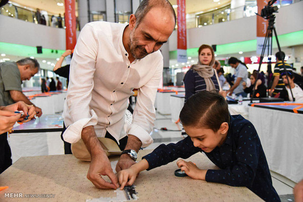 ساخت بزرگترین پازل با موضوع سمفونی لک لک ها 