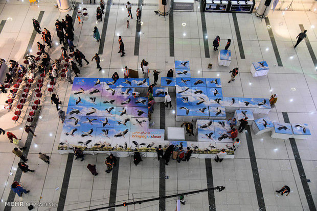 ساخت بزرگترین پازل با موضوع سمفونی لک لک ها 