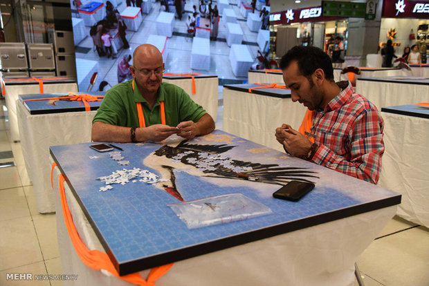 ساخت بزرگترین پازل با موضوع سمفونی لک لک ها 