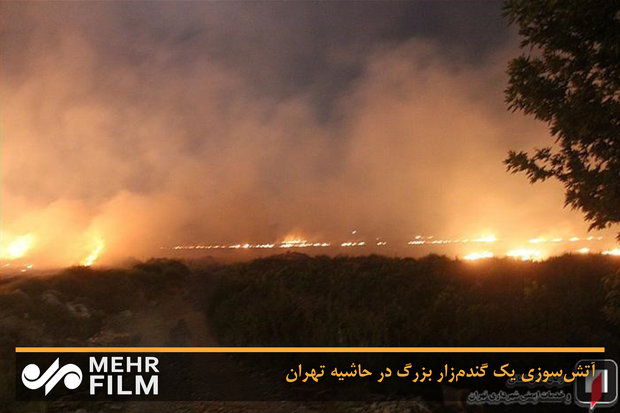  آتش‌سوزی یک گندم‌زار بزرگ در حاشیه تهران