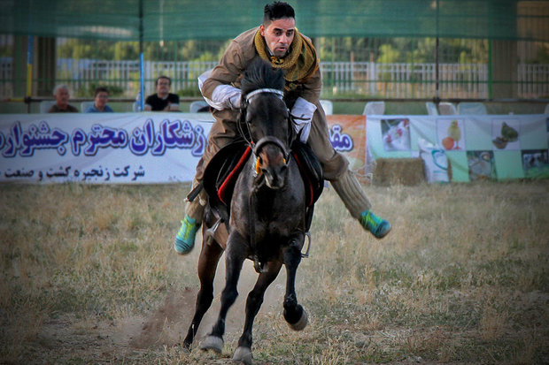 جشنواره ملی اسب اصیل کرد