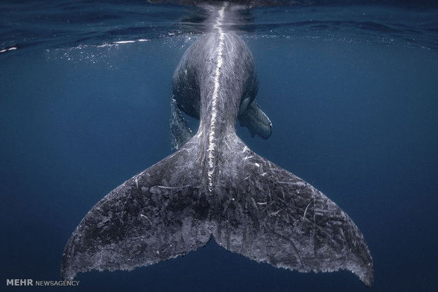 National Geographic yılın seyahat fotoğraflarını seçti