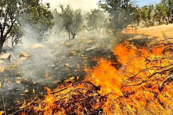 آتش به جان ۵۰ هکتار از جنگل های بخش کومله لنگرود افتاد