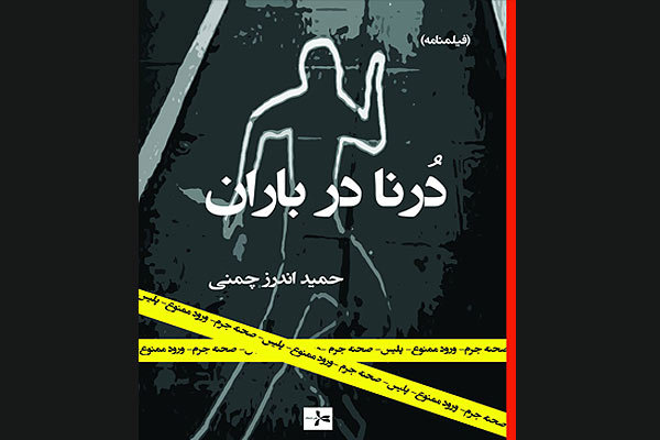 فیلمنامه پلیسی و زنانه «درنا در باران» منتشر شد