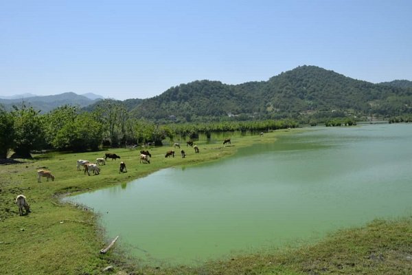 Astara's Estil Lagoon on verge of dryness