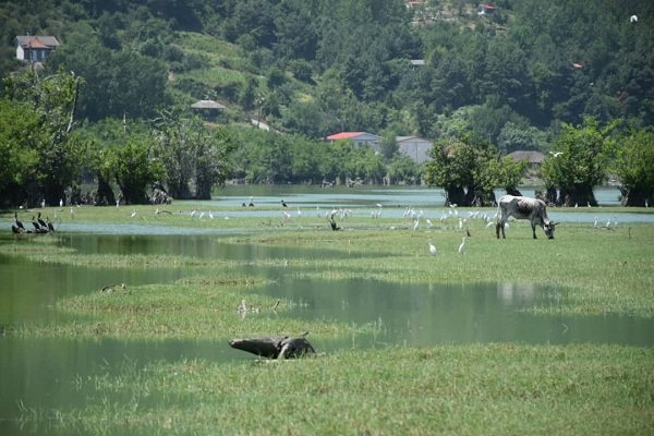 Astara's Estil Lagoon on verge of dryness