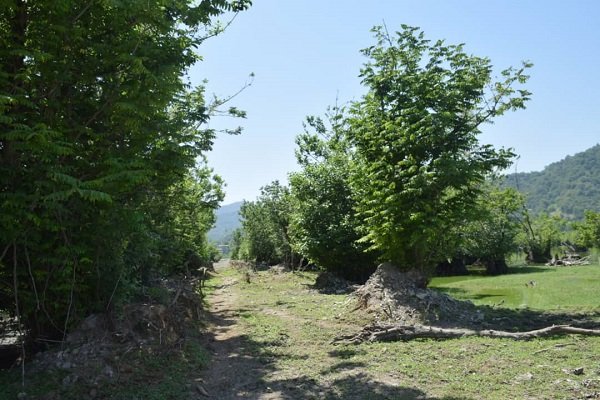 Astara's Estil Lagoon on verge of dryness