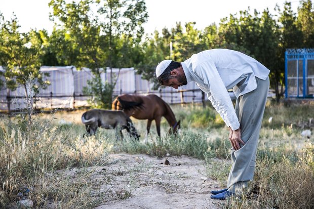 A view of daily life in Iran – 80