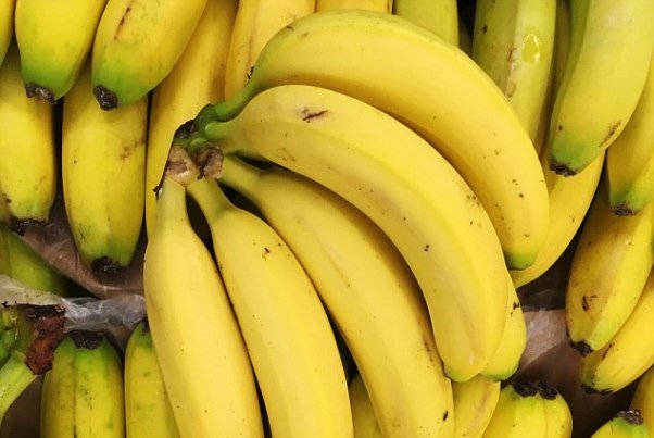 Banana imports into Iran declined by 33%