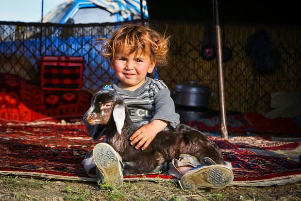 Nomads in Hamedan province
