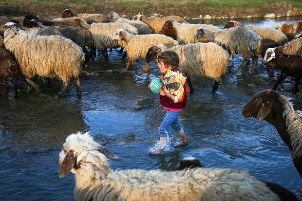 Nomads in Hamedan province