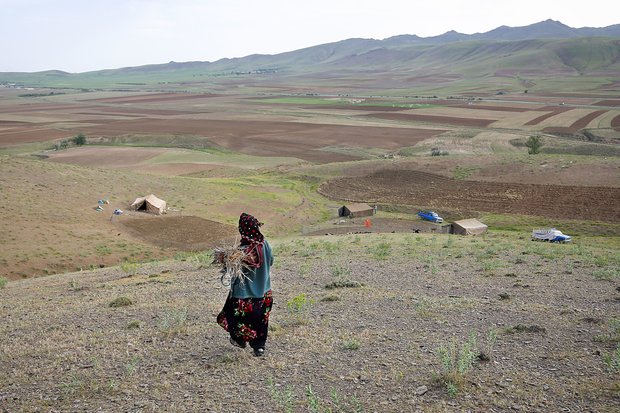 کوچ نشینان استان همدان - عشایر