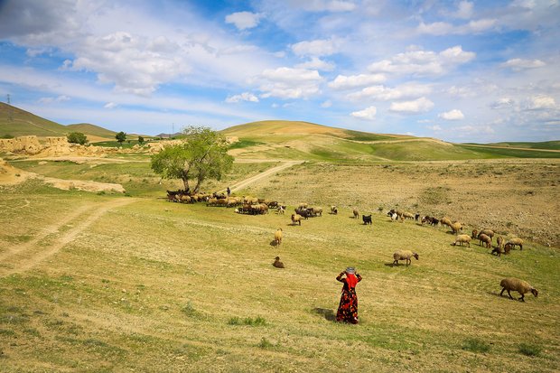Nomads in Hamedan province