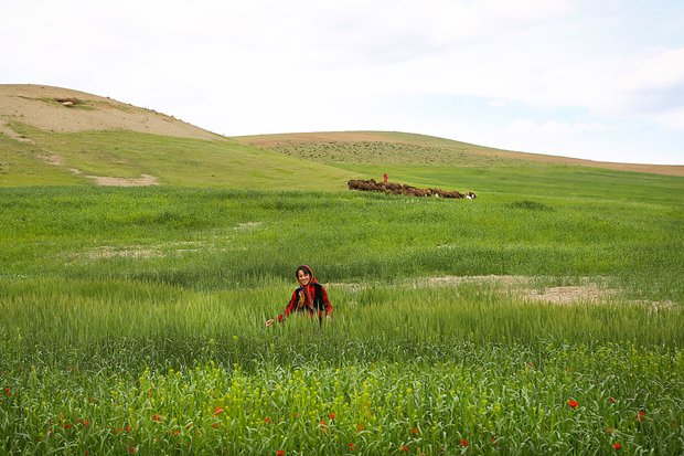 Nomads in Hamedan province
