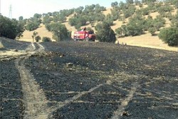 حریق ۳ هکتار از مزارع روستای «ایوان دره»/ ۲ نفر مصدوم شدند