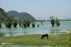 Photo depicts a view of Estil Lagoon in Astara, northern Iranian province of Gilan, July 8, 2018.