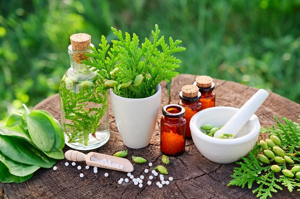 Iranians use of herbal medicine increases by 1.5 percent  Tehran Times