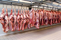 قیمت گوشت قرمز امروز دوشنبه ۳۱ خرداد ۱۴۰۱