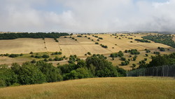A commanding view of Fandoqlo forest